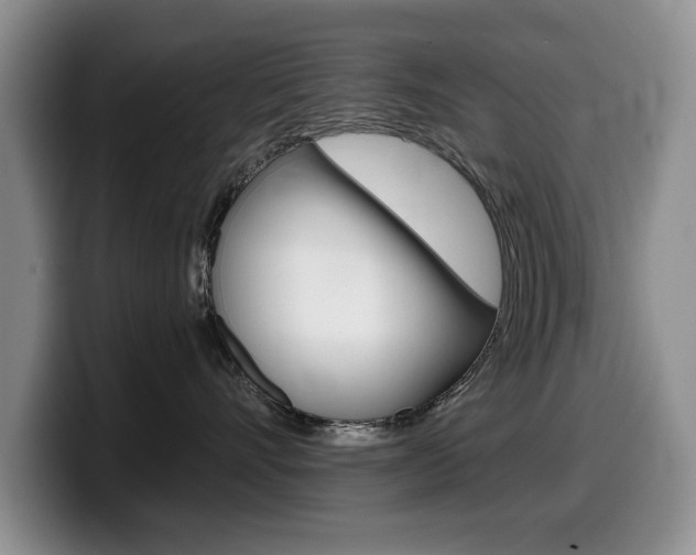 X0000099480528200805090836