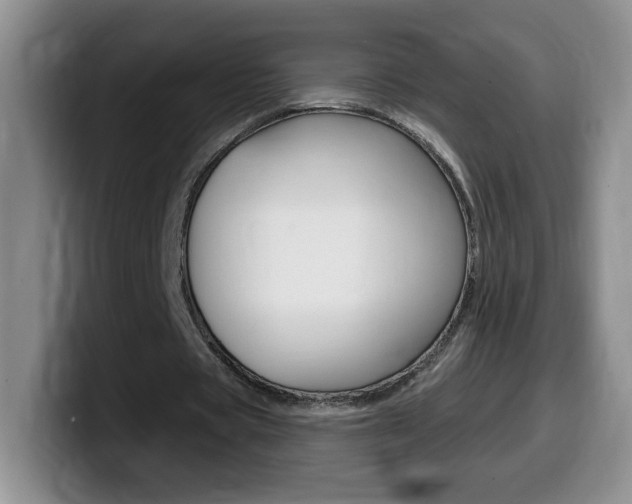 X0000099480529200805090835