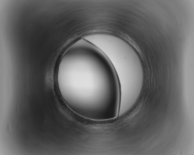 X0000099480530200805090835