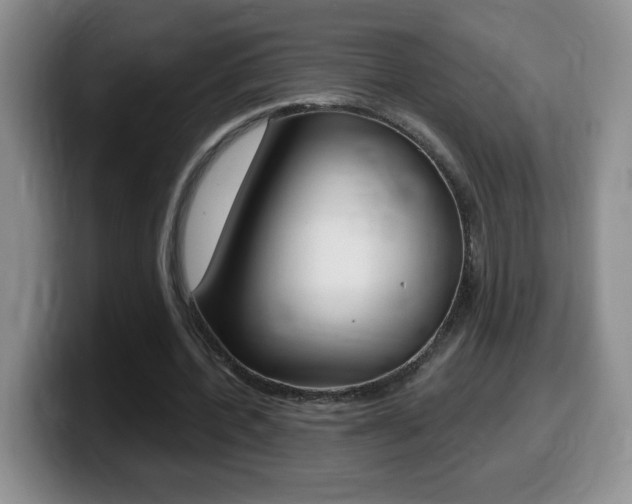 X0000099480532200805090835