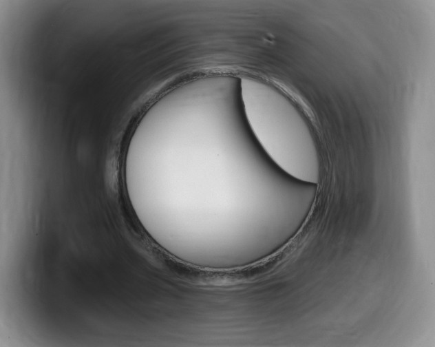 X0000099480533200805090835