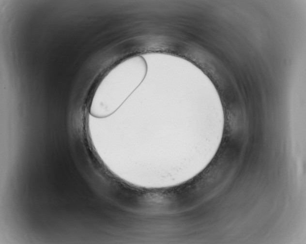 X0000099480534200805090835