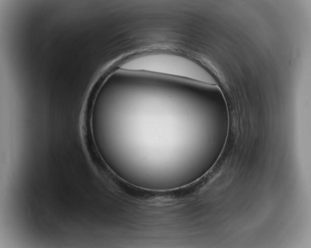 X0000099480536200805090835