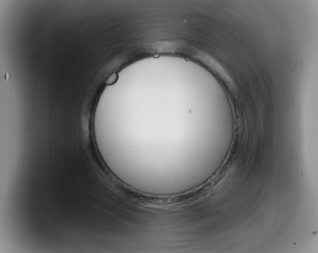 X0000099480537200805090835