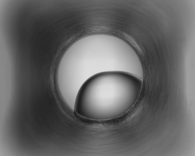 X0000099480538200805090835