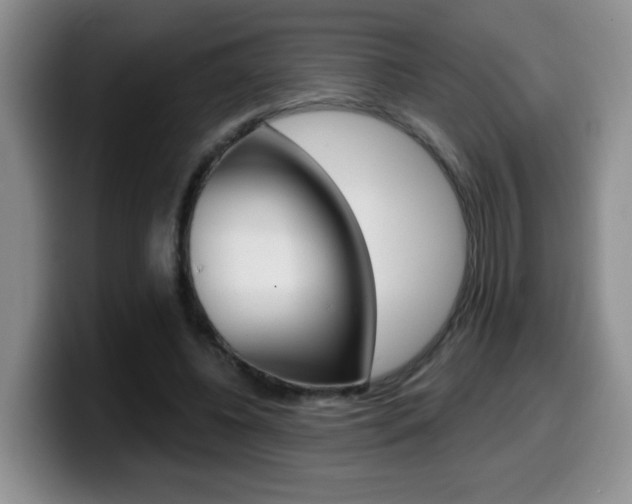 X0000099480540200805090835