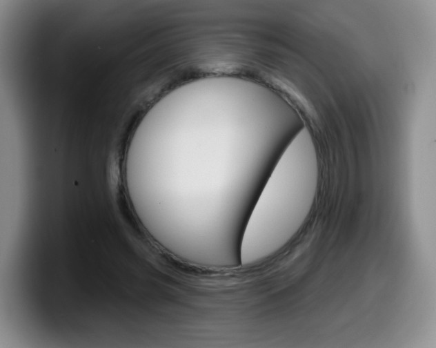 X0000099480541200805090835