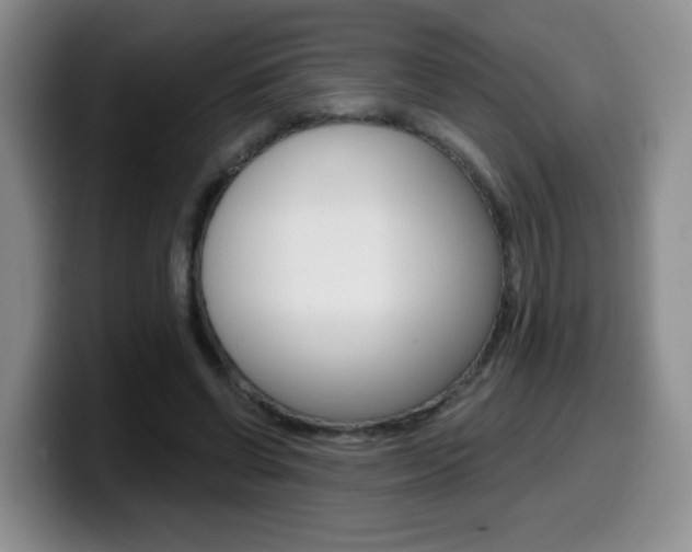 X0000099480542200805090835
