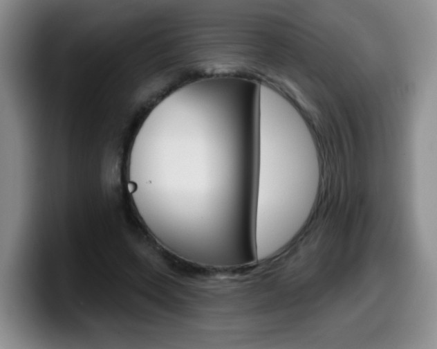 X0000099480543200805090835