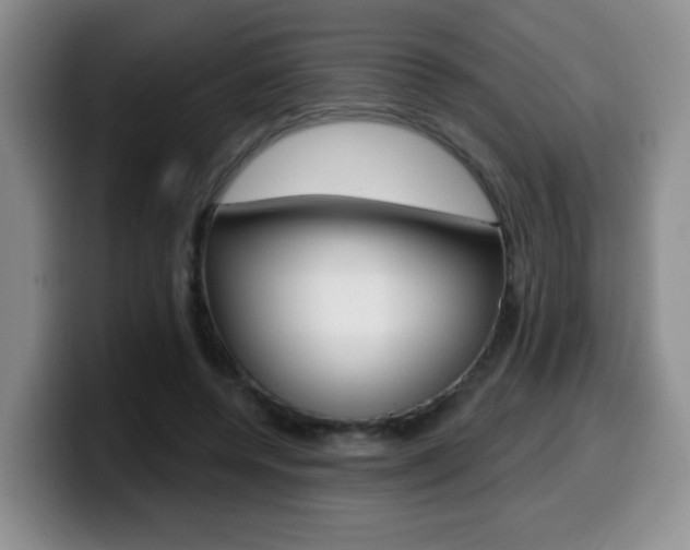 X0000099480544200805090835