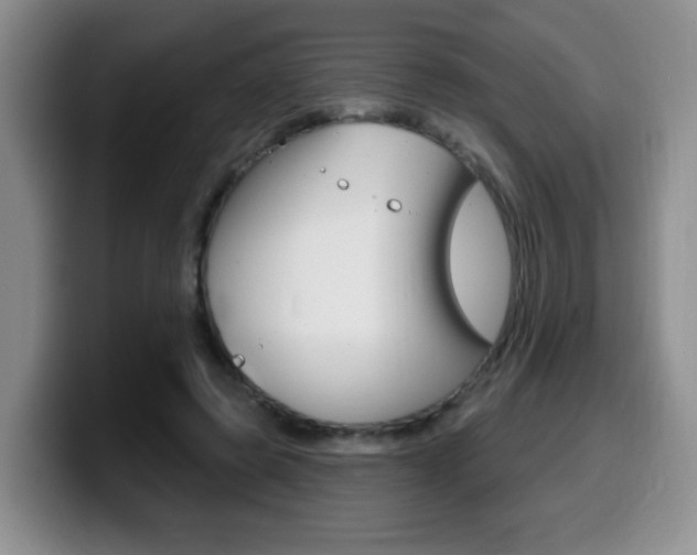 X0000099480545200805090835