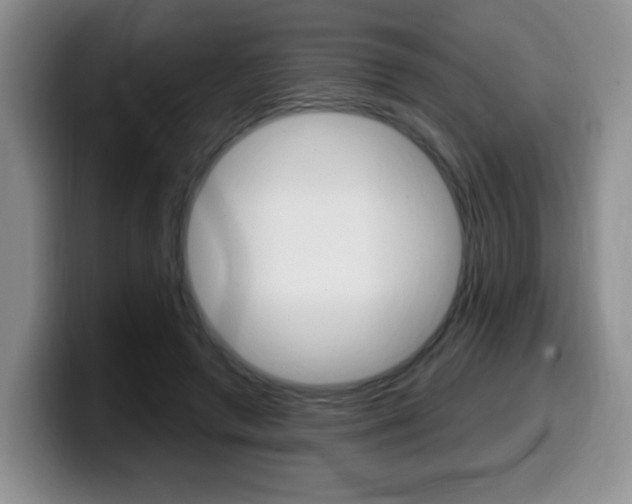X0000099480546200805090835