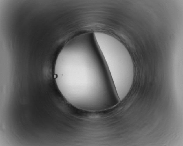 X0000099480547200805090835
