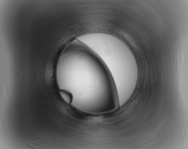 X0000099480548200805090835