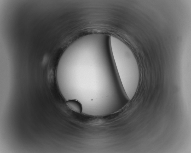 X0000099480551200805090835