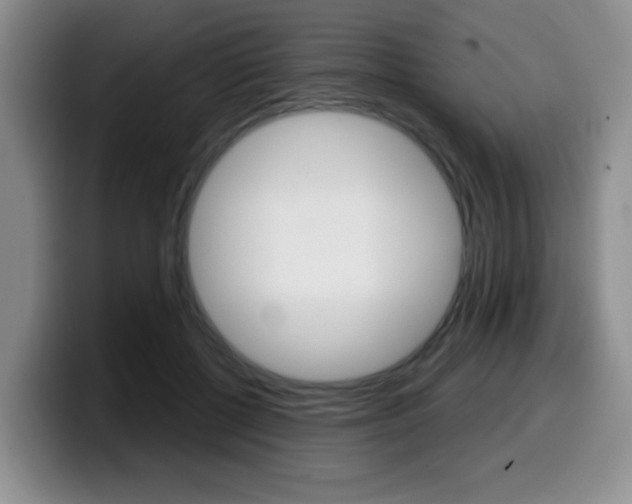 X0000099480552200805090835