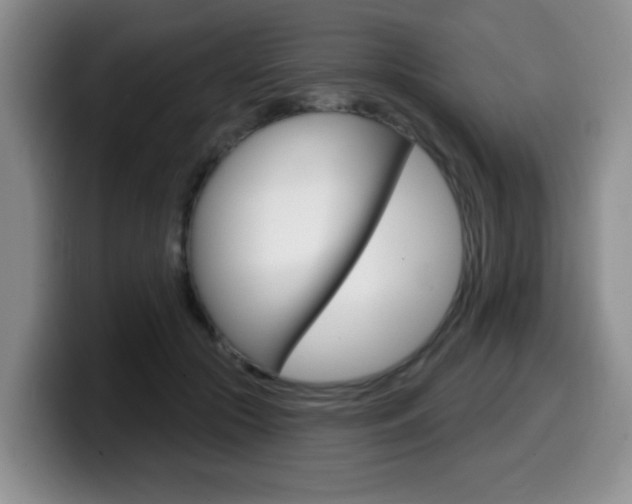 X0000099480553200805090835