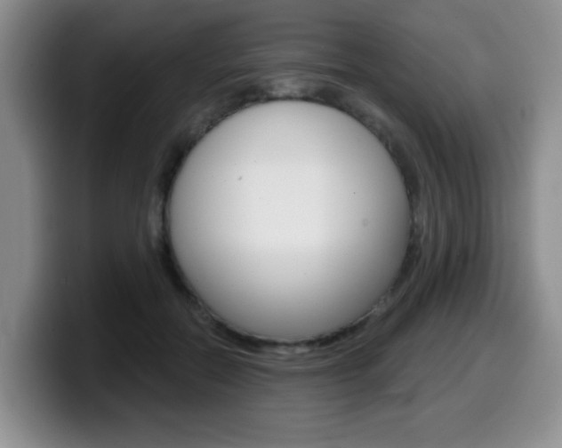 X0000099480554200805090835