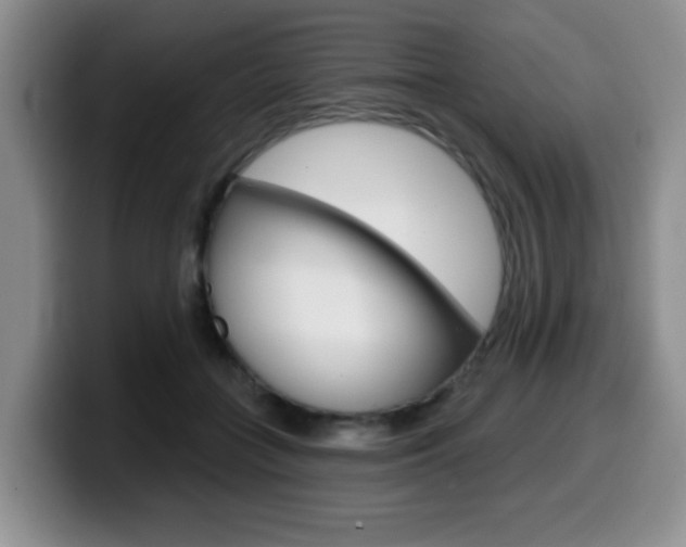 X0000099480555200805090835