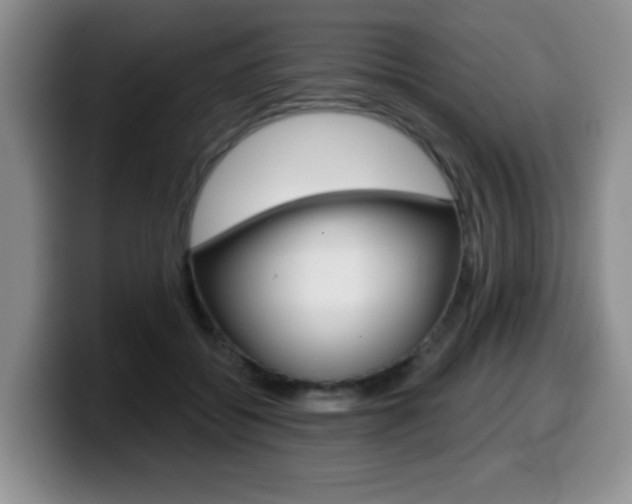 X0000099480556200805090835