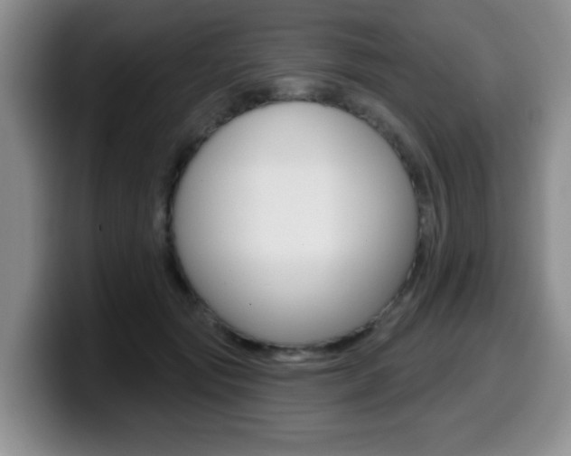 X0000099480557200805090835