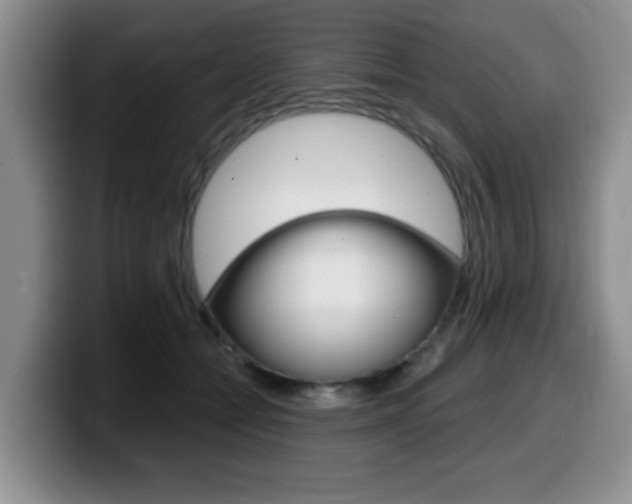 X0000099480558200805090835