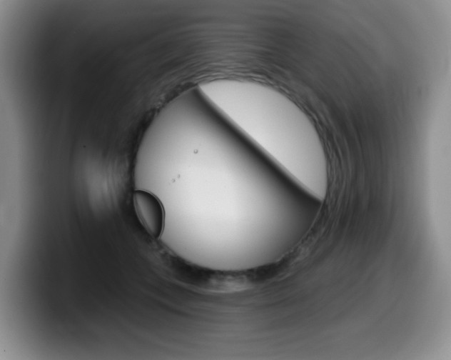 X0000099480559200805090835