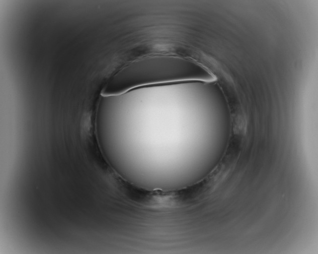 X0000099480560200805090835