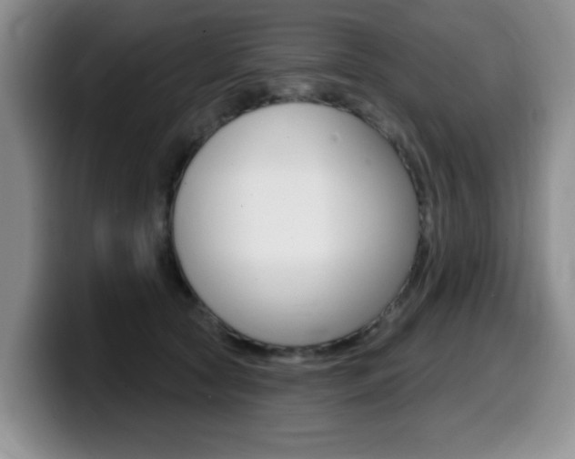X0000099480561200805090835