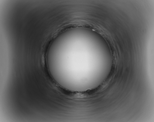 X0000099480562200805090835
