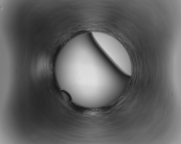 X0000099480563200805090835