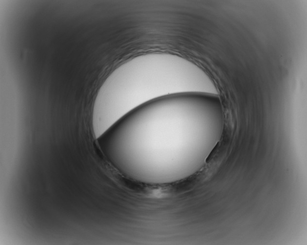 X0000099480564200805090835