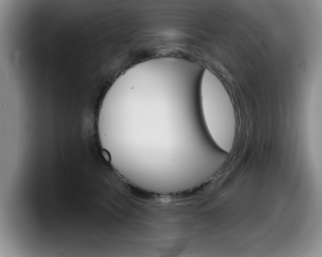 X0000099480565200805090835