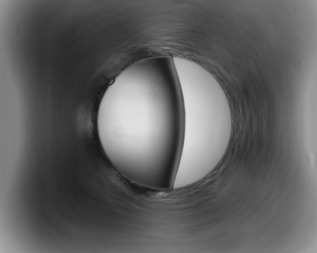 X0000099480566200805090835