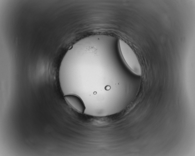 X0000099480567200805090835