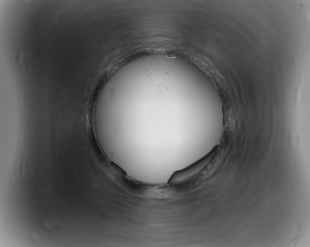 X0000099480568200805090835