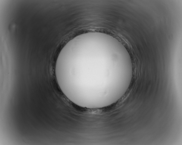 X0000099480569200805090835