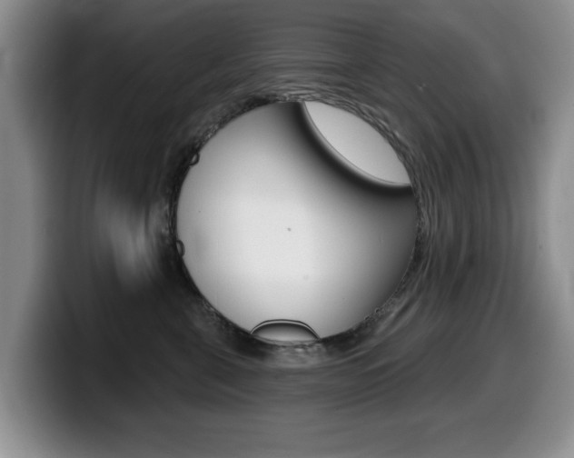 X0000099480571200805090836