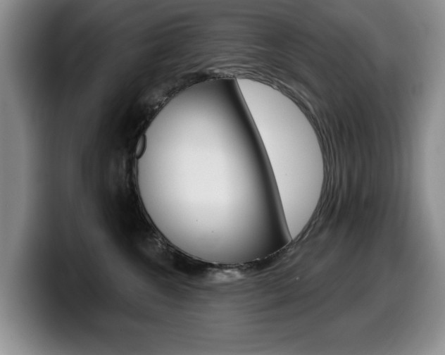 X0000099480572200805090836
