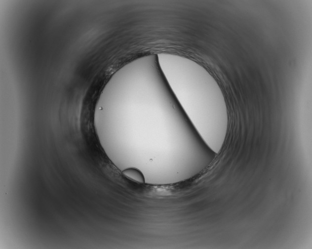 X0000099480573200805090836