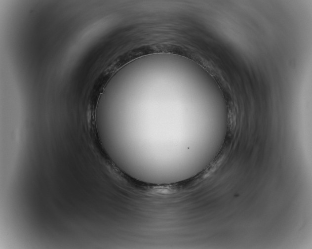 X0000099480574200805090836