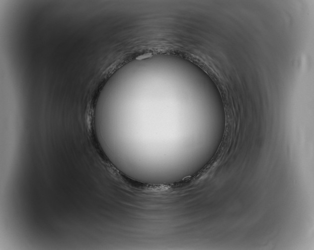 X0000099480576200805090836