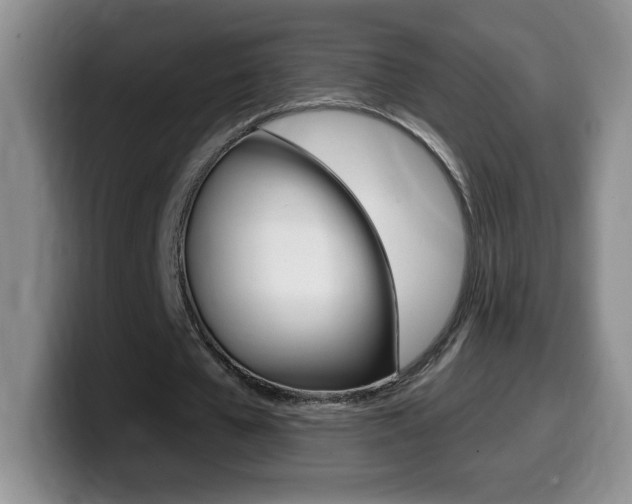X0000099480577200805090835