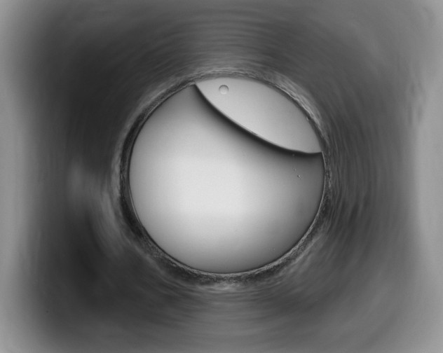 X0000099480578200805090835