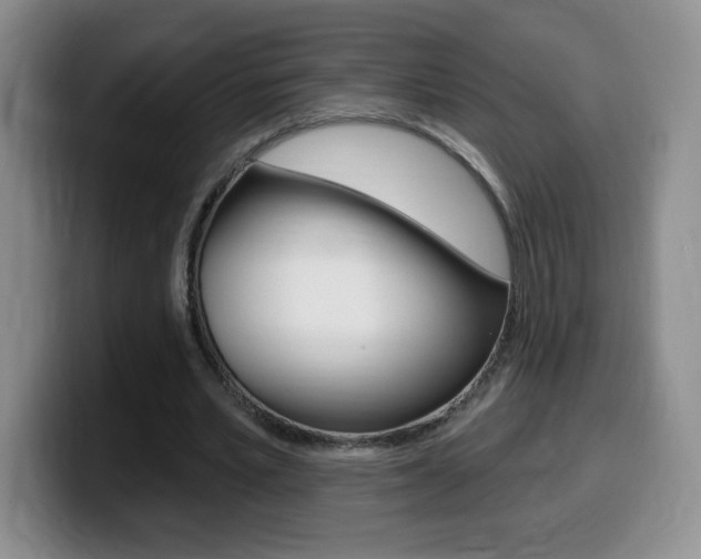 X0000099480581200805090835