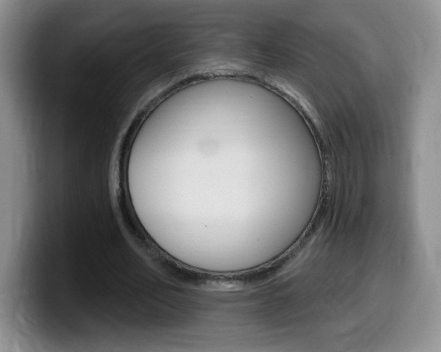 X0000099480582200805090835