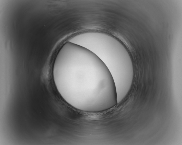 X0000099480583200805090835