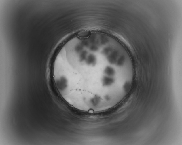 X0000099480584200805090835