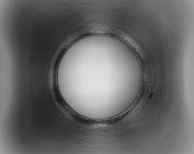 X0000099480586200805090835