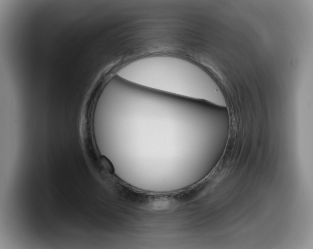 X0000099480587200805090835